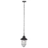 Adelle 9" Outdoor Pendant - PLT7013 - Black - Safavieh 2 Adelle 9" Outdoor Pendant - PLT7013 - Black - Safavieh -Safavieh Shop GUEST 1a52aeae a65a 442a 9682 ff61ae98a52a