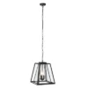Rydler 13" Outdoor Pendant - PLT7028 - Black - Safavieh