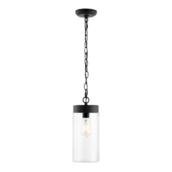 Lianne 5.7" Outdoor Pendant - PLT4037 - Black - Safavieh