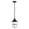 Penber 8.5" Outdoor Pendant - PLT4039 - Black - Safavieh