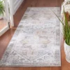 Tucson TSN102 Power Loomed Machine Washable Area Rug - Safavieh