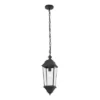 Teri 7" Outdoor Pendant - PLT4083 - Black - Safavieh