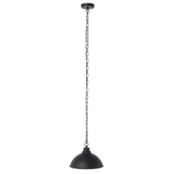 Melila 12" Outdoor Pendant - PLT7019 - Black - Safavieh