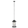 Queren 9.25" Outdoor Pendant - PLT7025 - Black - Safavieh -Safavieh Shop GUEST d2847958 00b3 4682 8485 b49c890d5eff