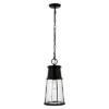 Laela 8.4" Outdoor Pendant - PLT4035 - Black - Safavieh 1 Laela 8.4" Outdoor Pendant - PLT4035 - Black - Safavieh -Safavieh Shop GUEST fd2c6505 7730 4083 a815 cfc38030eb97
